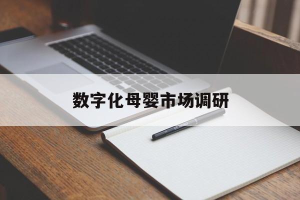 白银市数字化母婴市场调研(数字化母婴市场调研报告)