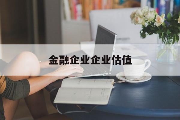 白银市金融企业企业估值(最新企业估值怎么填)